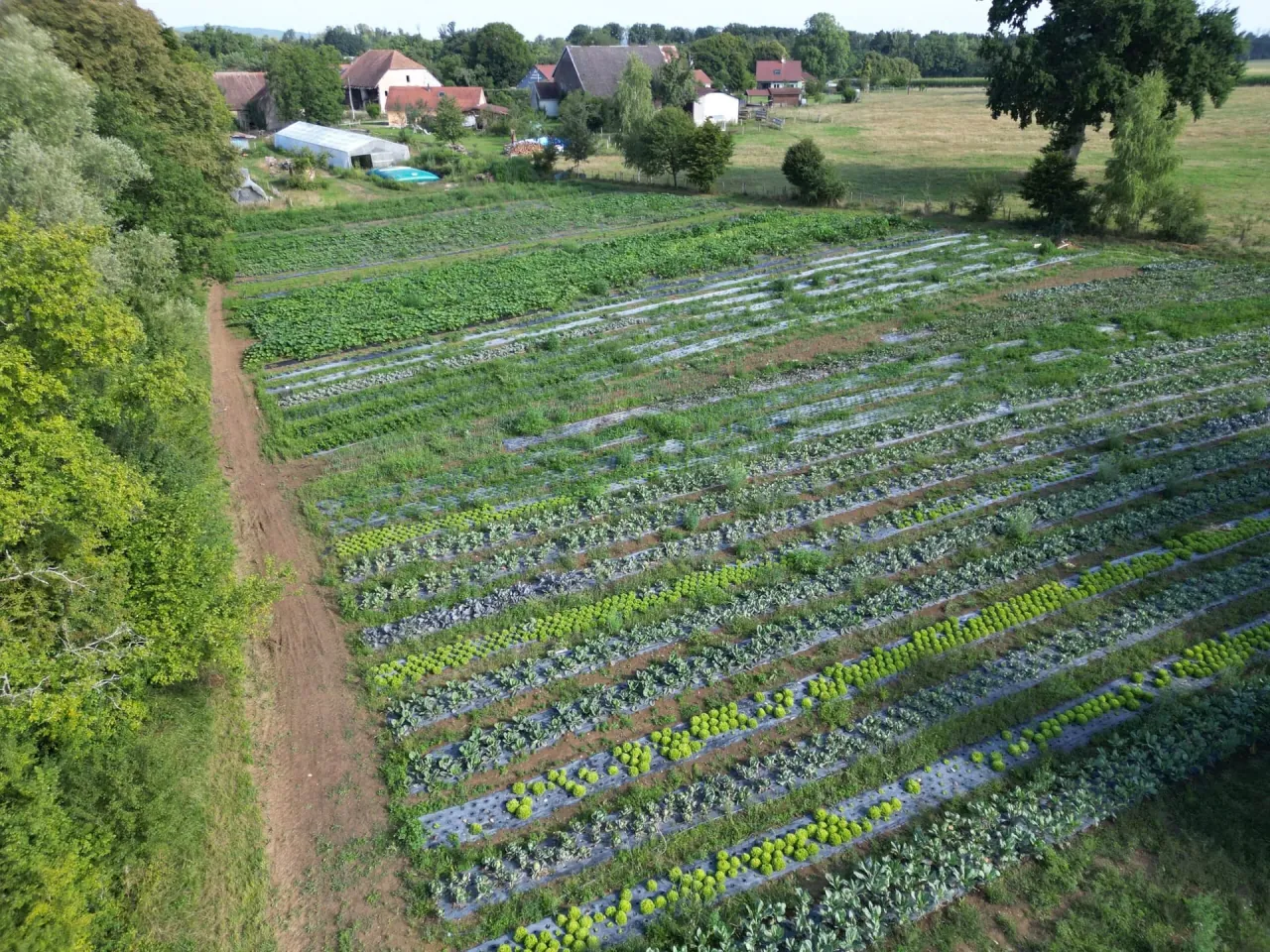 Vue aérienne du potager des Magny