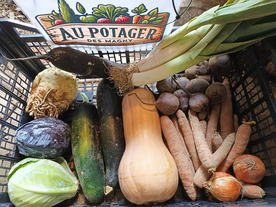 Panier de légumes frais en Haute-Saône – Au Potager des Magny